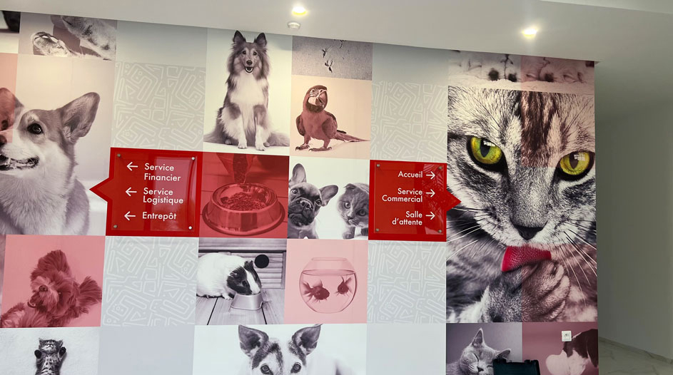 Papier peint vu de face au siège administratif de Distripets, société de distribution d’aliments et produits pour animaux domestiques. Créé par Ink Conception, il reprend l’identité visuelle de Distripets avec des codes couleurs rouge et gris, des photos en mosaïque de chats, chiens, oiseaux, rongeurs et poissons, ainsi que des signalétiques directionnelles en plexiglas.